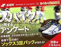 株式会社エスエスケイ（プロモーテッド・アンケート）　イメージ画像