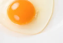 食品のイメージ画像