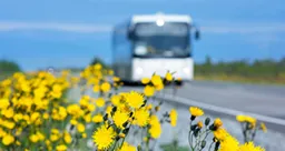 バスツアーのイメージ画像