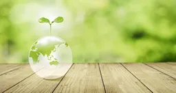 SDGsのイメージ画像