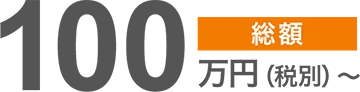 総額100万円（税別）〜